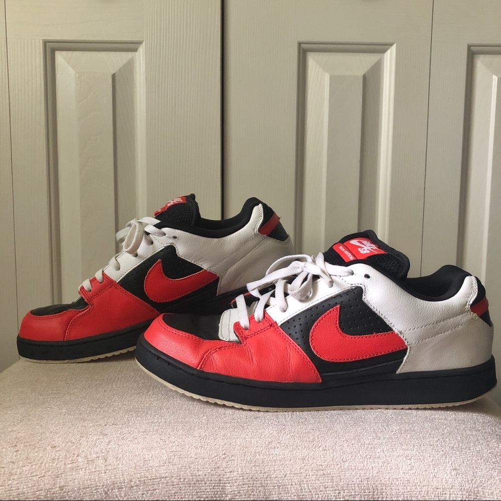 Nike SB low top Team Edition men’s shoes